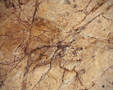 Close-up of a textured Kimmeridgian soils with natural patterns at Jean Josselin champagne