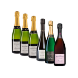 Monmarthe Timeless Collection Discovery Case