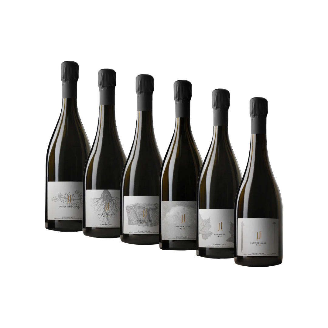 Jean Josselin Discovery Case